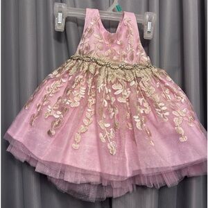 American Princess Light Pinks Gold/Embroidered Floral Party Dress 122